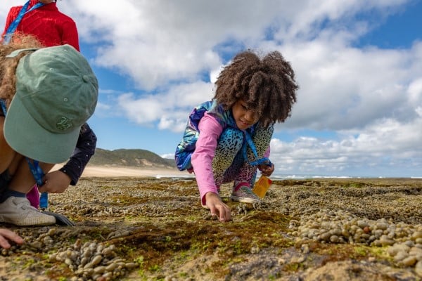 Junior Rangers – Beach Treasure Hunt