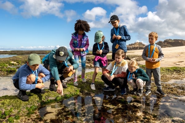 Junior Rangers – Rockpool Ramble