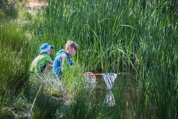 Junior Rangers – Minibeast Discovery