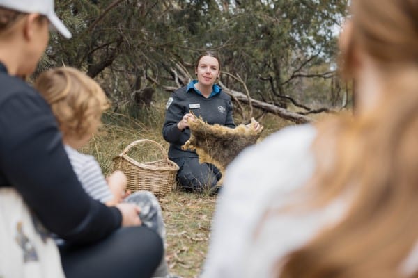 Junior Rangers – Discovering Country