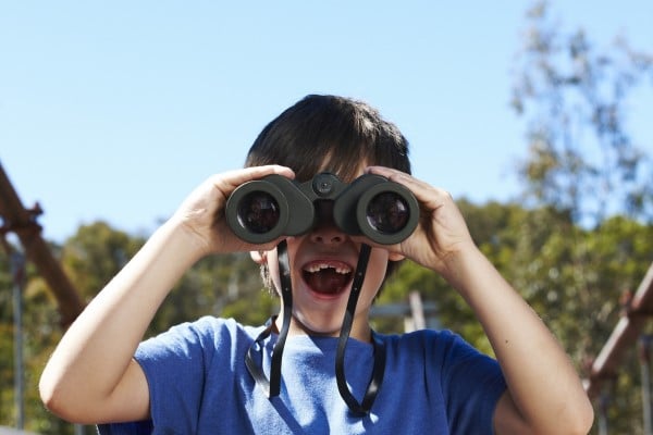 Junior Rangers – Away with the Birds