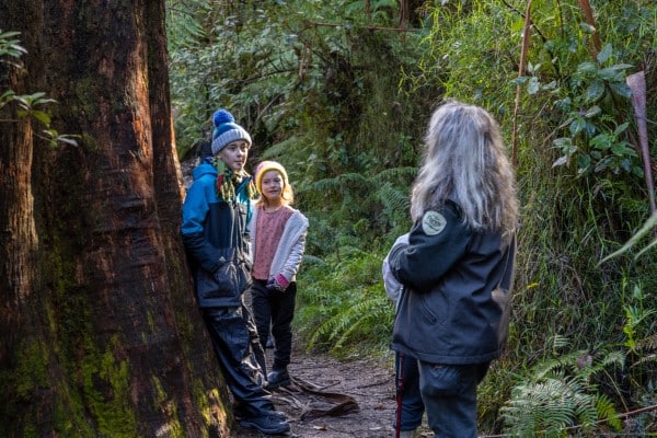 Junior Rangers – Spotlighting After Dark