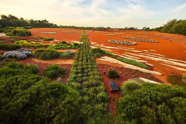 Australian Garden 20th Birthday Weekend