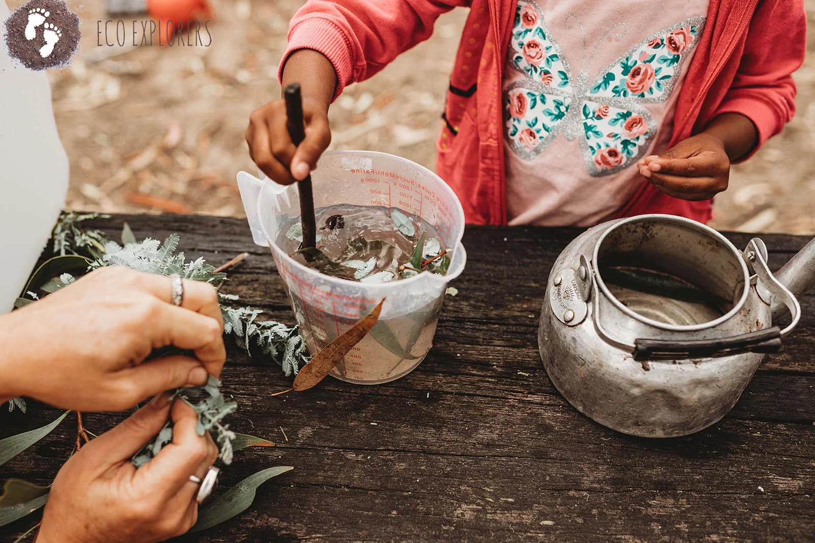 Bulleen Bush Play ~ Mud Pies, Magic Potions Nature Craft