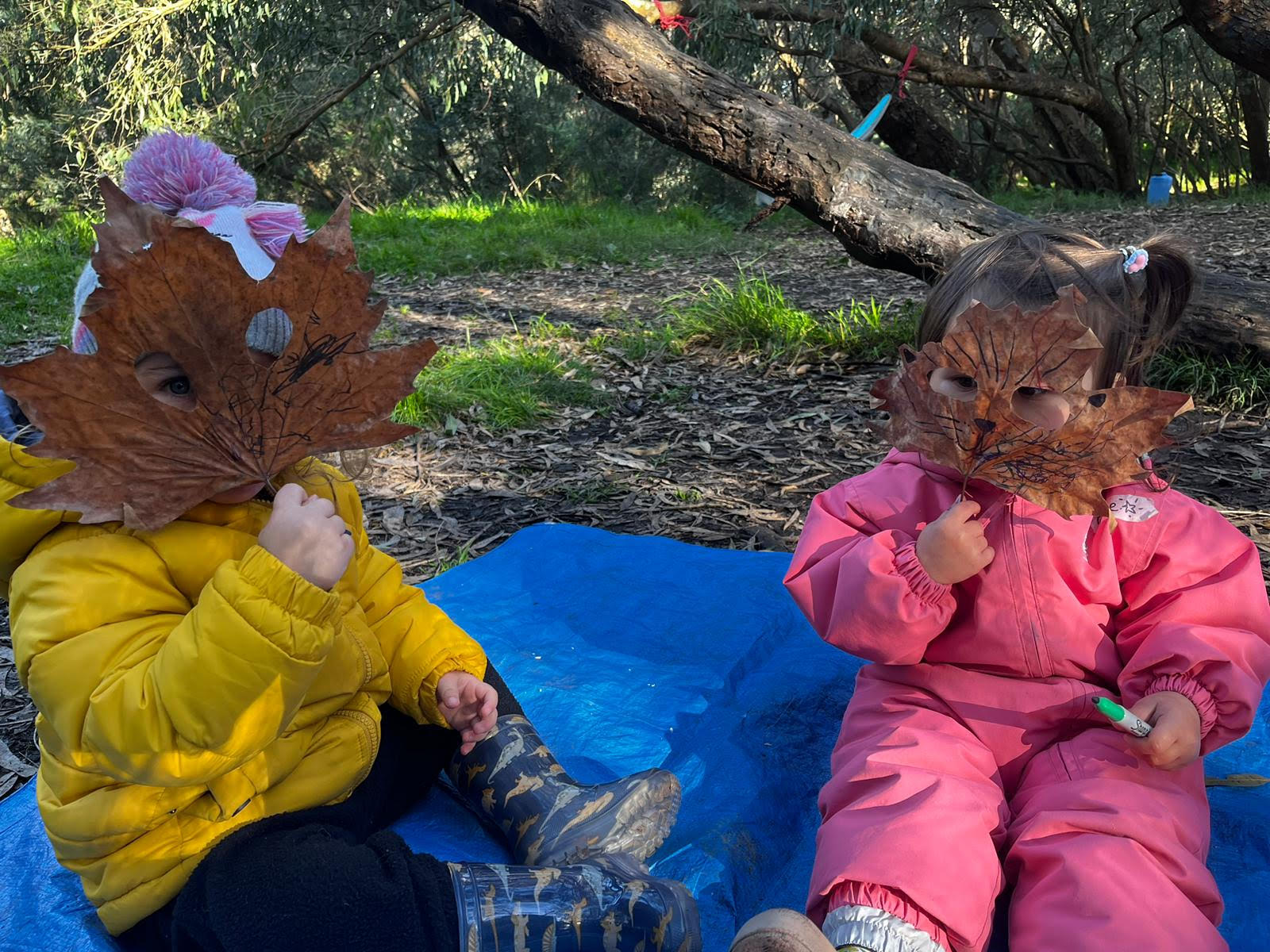 Darebin Creek Bush Playgroup