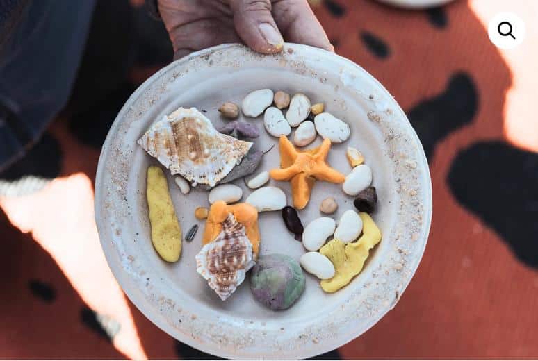 Ricketts Point Marine Sanctuary Rockpool Discovery