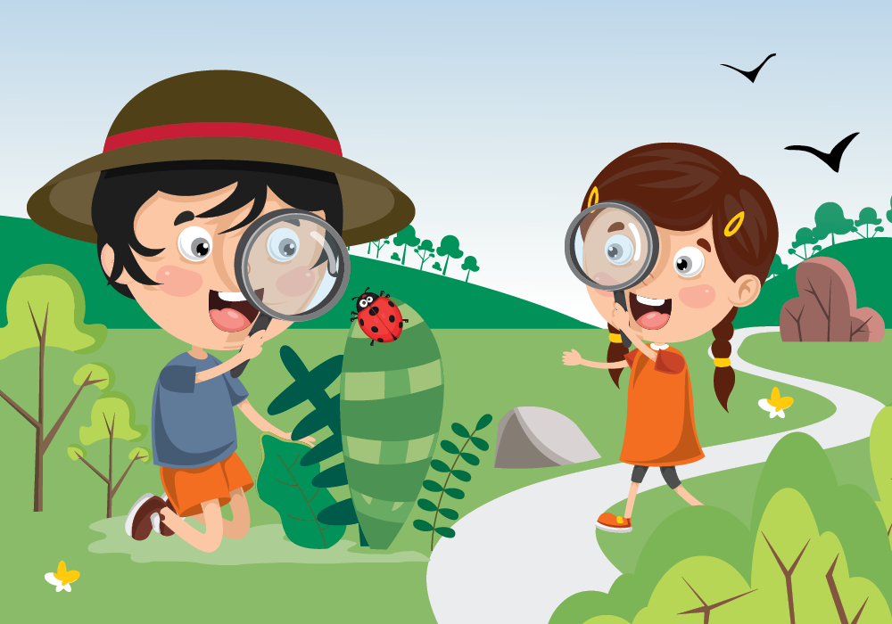 Nature Discovery Walk