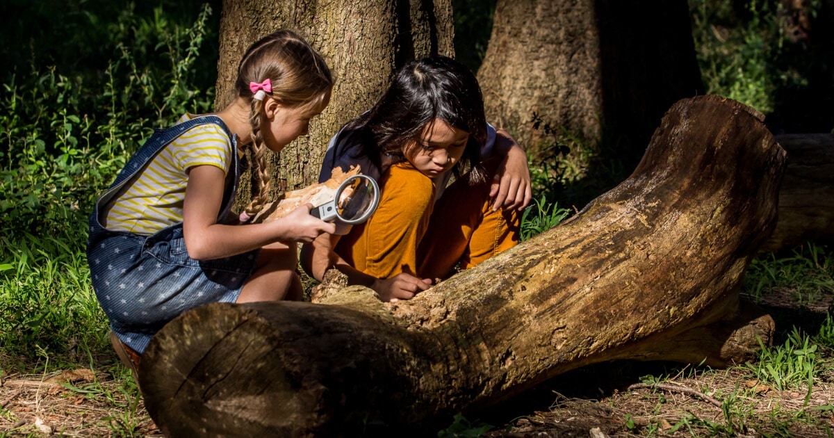 Harbour Science: Incredible Insects