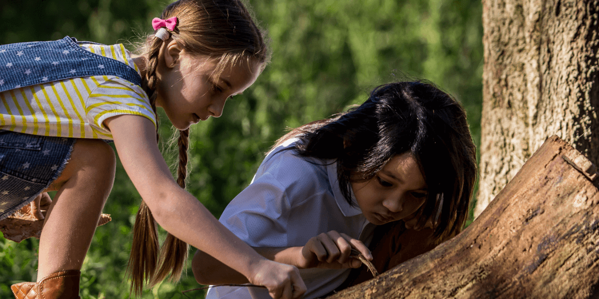 River Science: Seeds on the Move