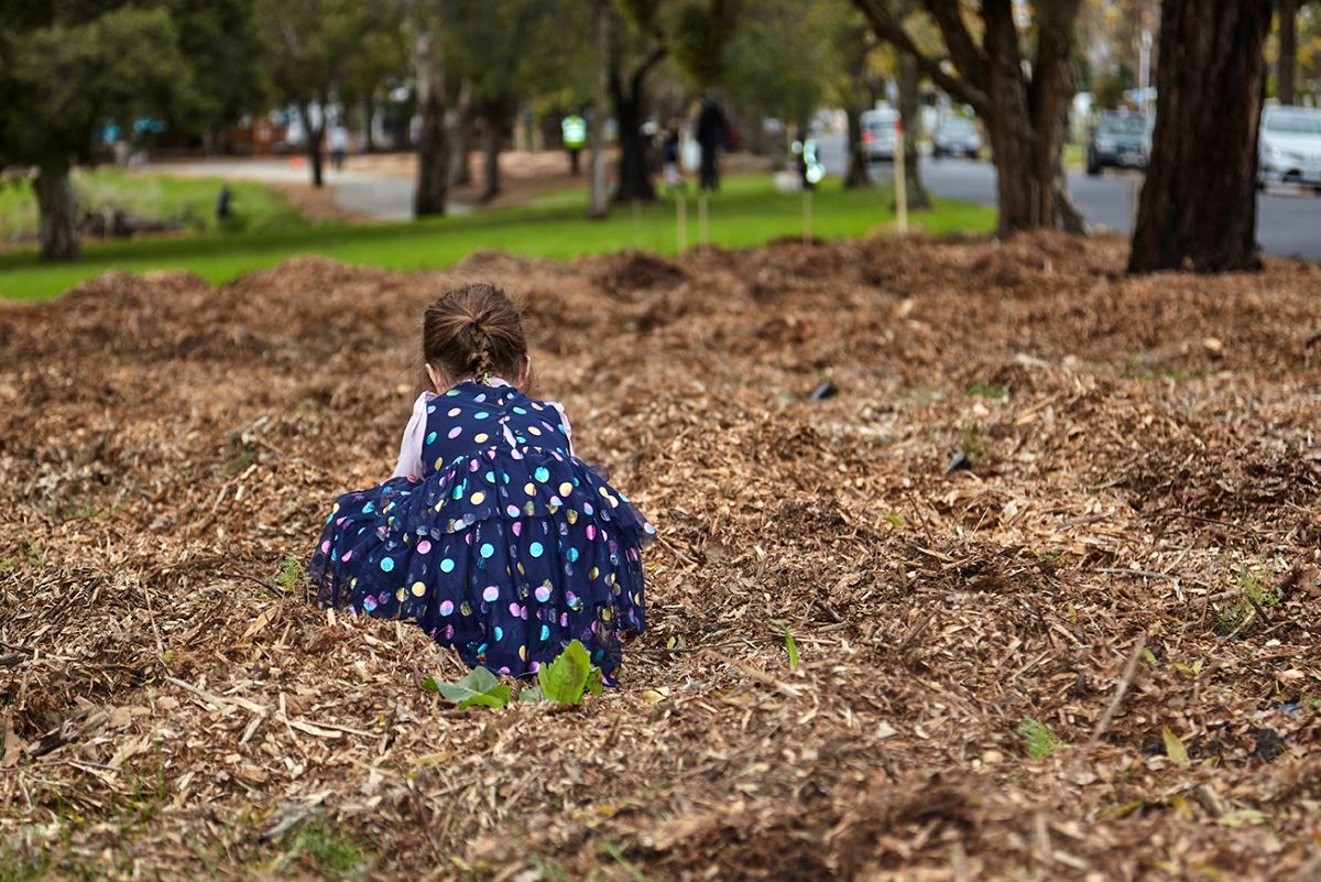 Nature Play in Moonee Valley – Avondale Heights