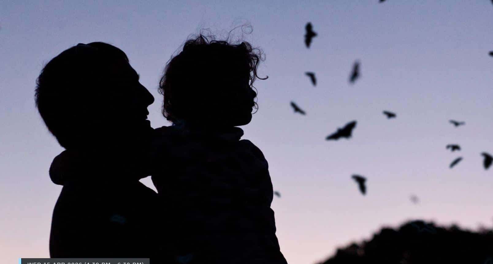 The Big Bat Night at Centennial Park