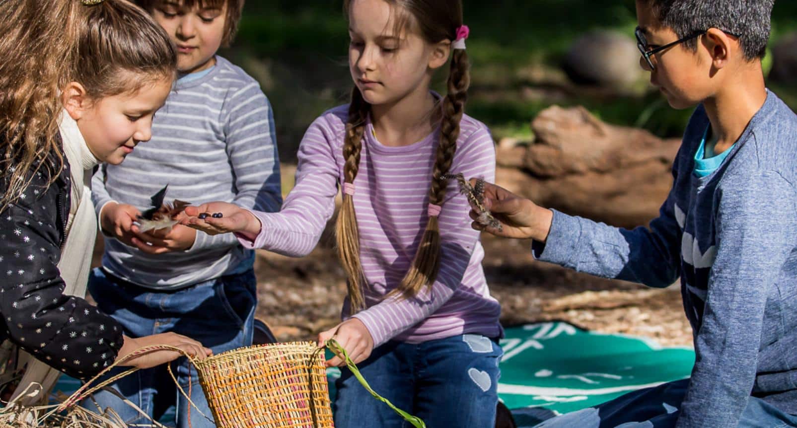 Park Arts: Leaves &amp; Colours