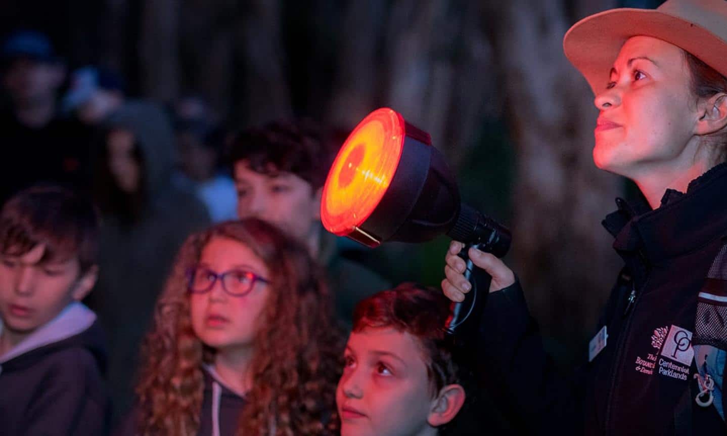 Spotlight Prowl for Families