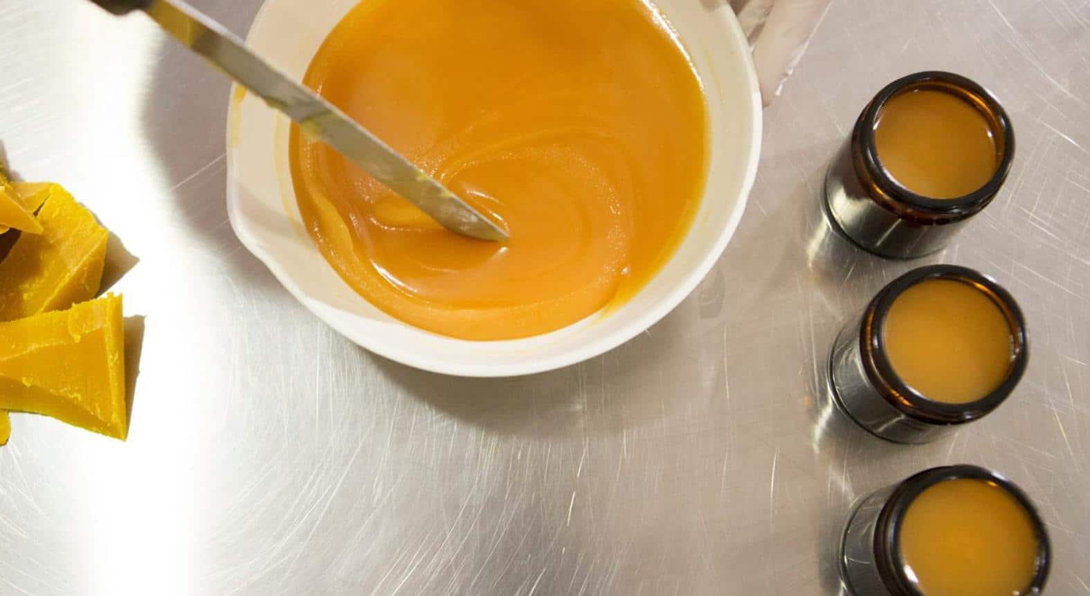 Meet the Bees: Guided Tour of the Centennial Park Bees &amp; Candle Rolling