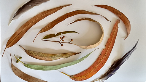 Nature Play at Kalorama Art and Craft Market