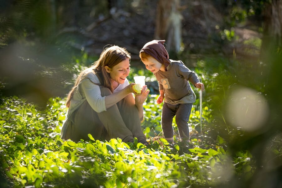 Bush School at Parramatta Park