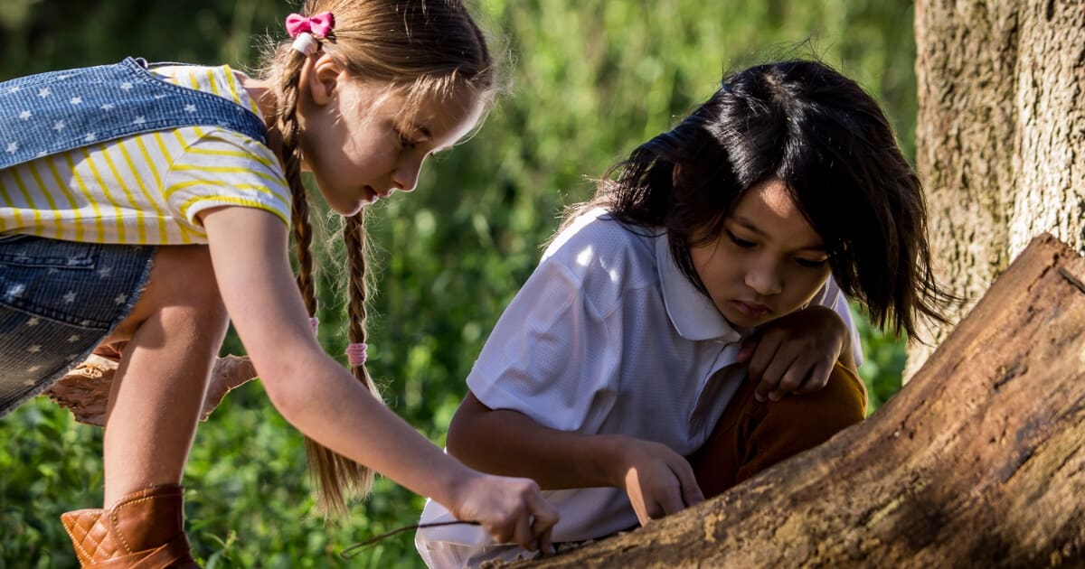 Wild Science: Incredible Insects