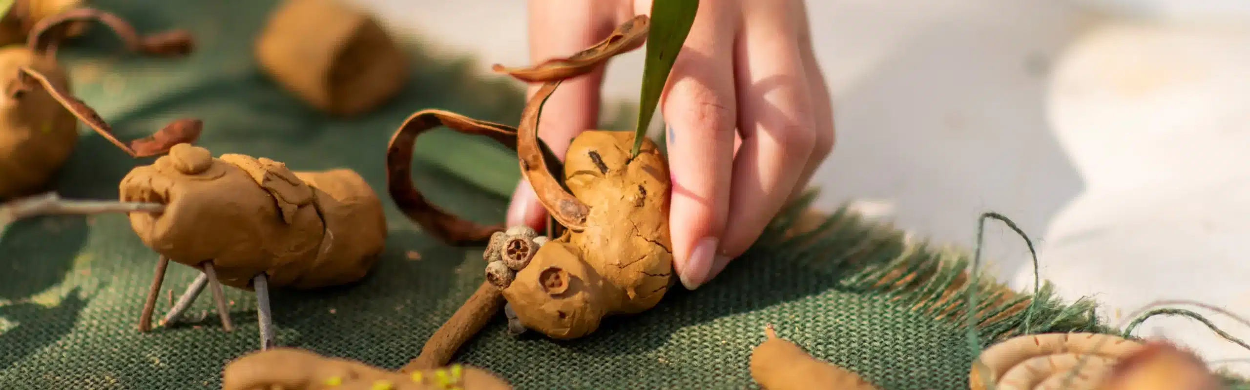Nature Play Cranbourne